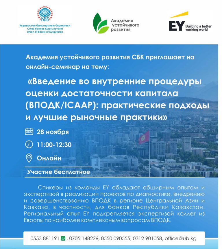 Онлайн-семинар на тему «Введение во внутренние процедуры оценки достаточности капитала (ВПОДК/ICAAP): практические подходы и лучшие рыночные практики».